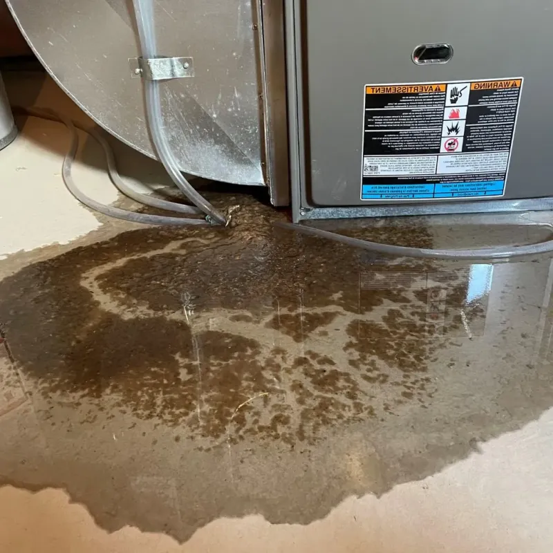 Pipe Burst and Leak Restoration in Ridgewood, NJ